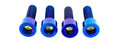 Titanium Axle Pinch Bolts for E-moto Forks